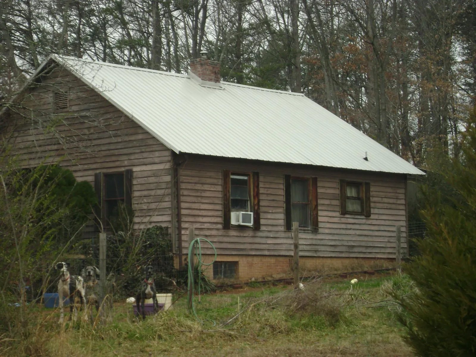 White metal roof on an old wood sided farmhouse, from a Asphalt Shingle Roof Repair job in Potts Camp
